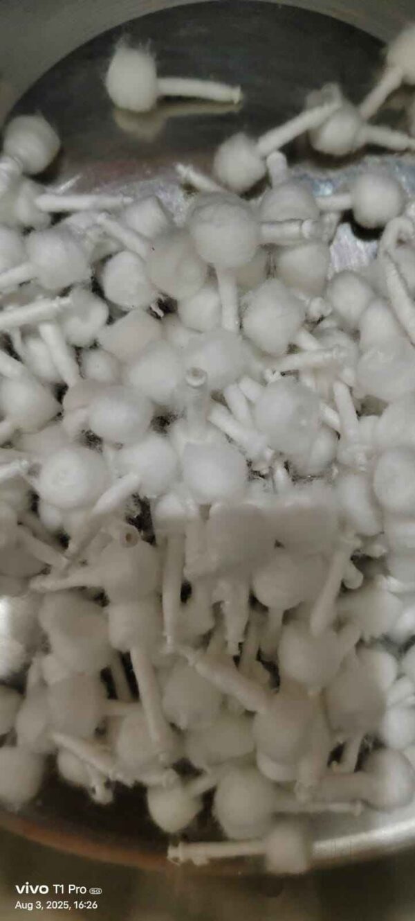 10gm Round Cotton Wicks For Oil Lamps - Image 8