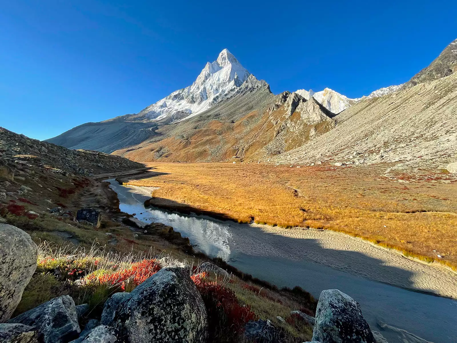 Gangotri Glacier — The Retreating Giant and Its Ecological Importance
